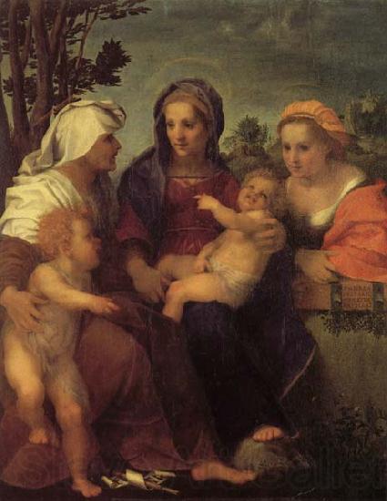 Andrea del Sarto Madonna and Child with St.Catherine France oil painting art